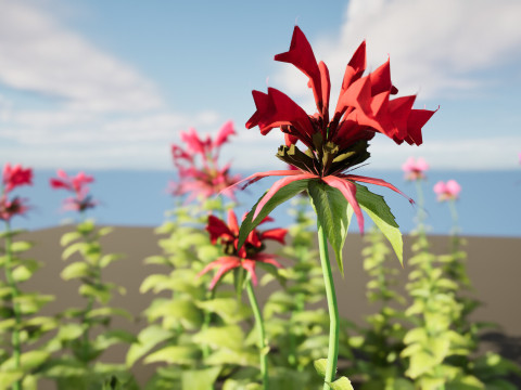 Realistic Plants - Low Poly 3d Pack 3D 모델