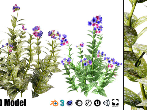 Realistic Plants - Low Poly 3d Pack 3D 모델