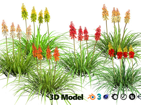 Realistic Plants - Low Poly 3d Pack 3D 모델