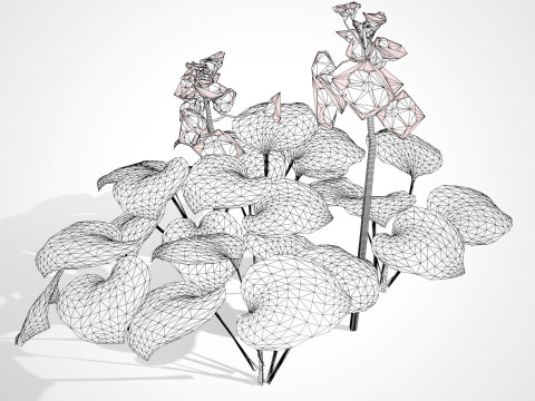 Realistic Plants - Low Poly 3d Pack 3D 모델