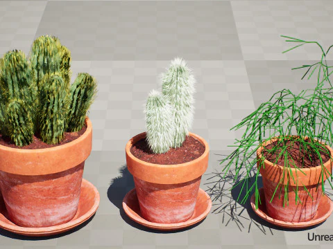 Realistic 3D Indoor Cacti 3D Model
