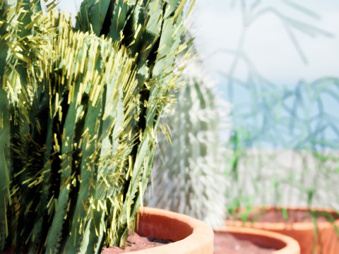 Realistic 3D Indoor Cacti 3D Model