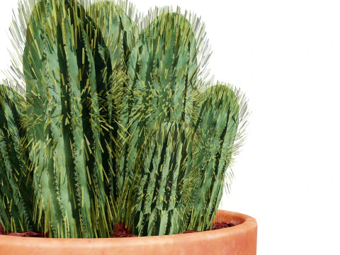 Realistic 3D Indoor Cacti 3D Model