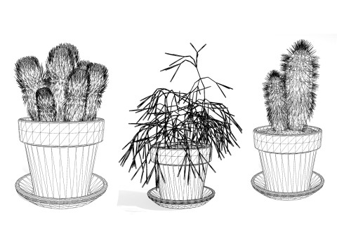 Realistic 3D Indoor Cacti 3D Model