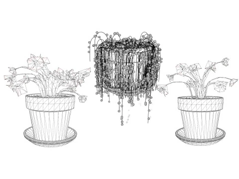 Cactus Schlumbergera Modèle 3D