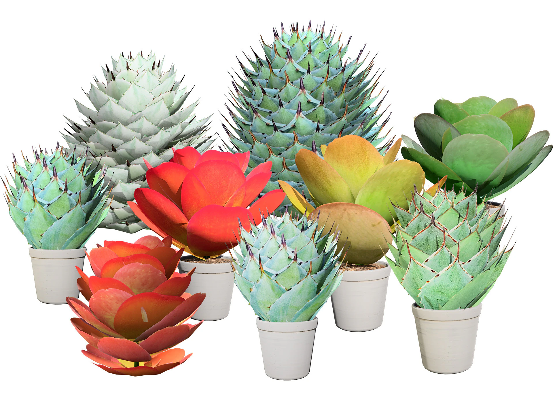 Kalanchoe and Agave Pack 3D Model .c4d .max .obj .3ds .fbx .stl .blend 