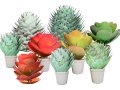 Kalanchoe and Agave Pack 3D Модель