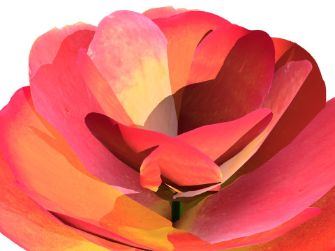 Kalanchoe and Agave Pack Modelo 3D