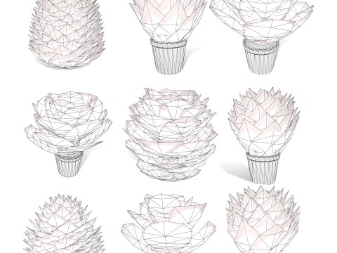 Kalanchoe and Agave Pack Modelo 3D
