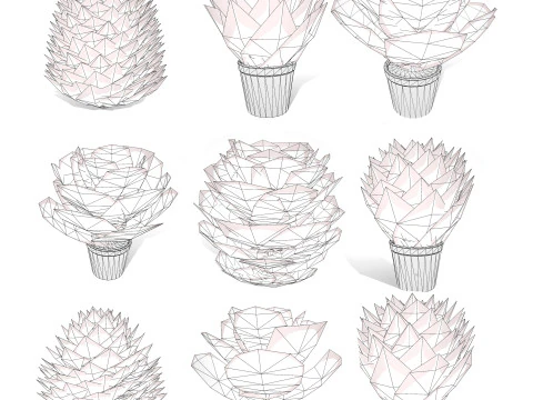 Kalanchoe and Agave Pack 3D Model