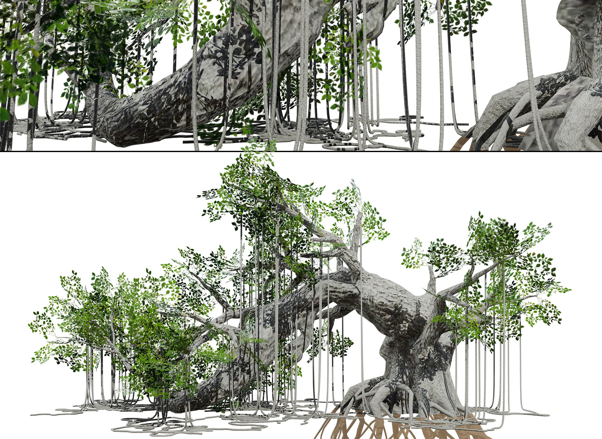 Opgetuigde jungleboom 3D Model .c4d .max .obj .3ds .fbx .stl .blend 