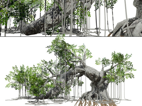 Rigged Jungle Tree Modelo 3D