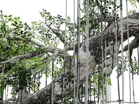 Rigged Jungle Tree Modelo 3D