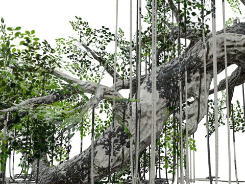 Opgetuigde jungleboom 3D Model