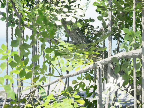 Rigged Jungle Tree Modelo 3D
