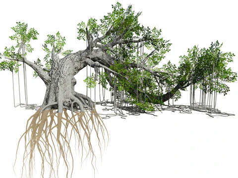 Opgetuigde jungleboom 3D Model