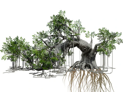 Opgetuigde jungleboom 3D Model