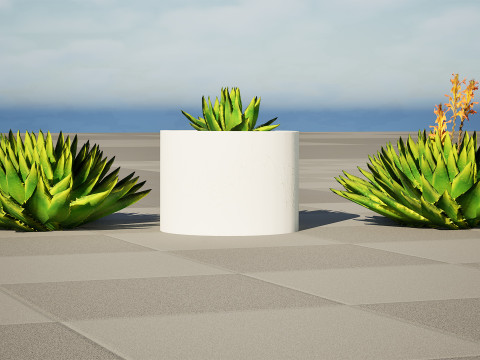 Spiral Aloe Plant Modelo 3D