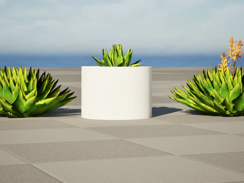 Spiral Aloe Plant 3D Model