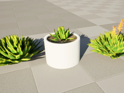 Spiral Aloe Plant 3D Model
