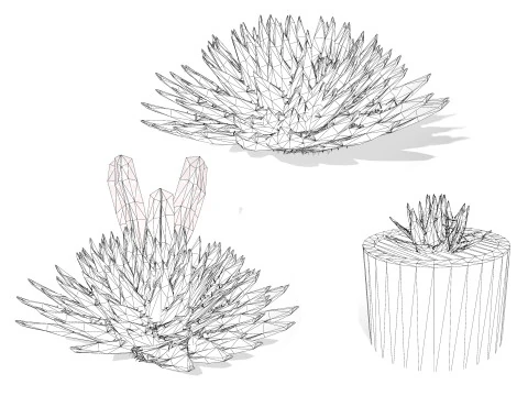 Spiral Aloe Plant 3D Model