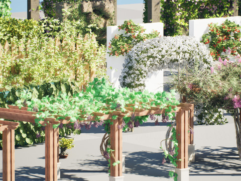 Ivy Collection 3D 3D मॉडल