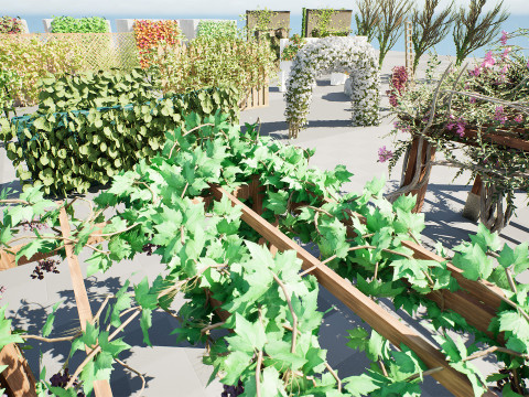 Ivy Collection 3D 3D मॉडल