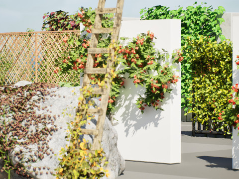 Ivy Collection 3D 3D मॉडल