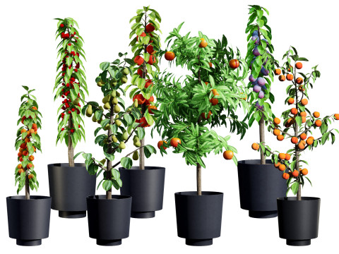Columnar Fruit Trees Modelo 3D