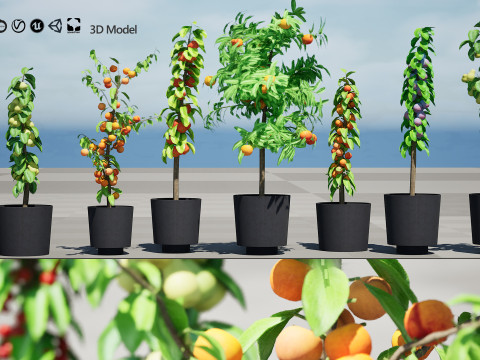 Columnar Fruit Trees 3D मॉडल