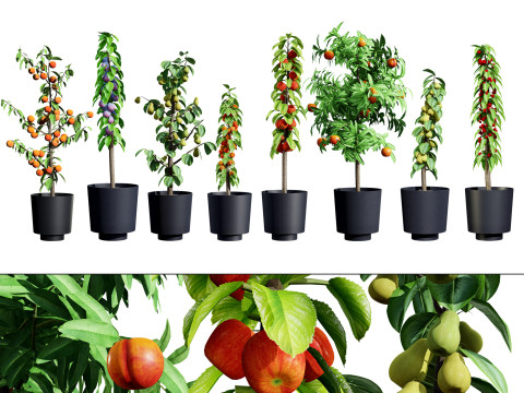 Columnar Fruit Trees 3D मॉडल