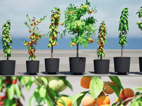 Columnar Fruit Trees 3D मॉडल