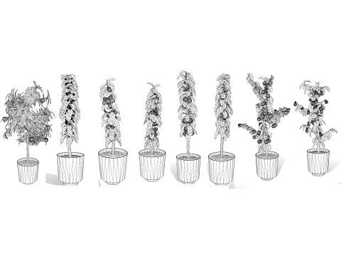 Columnar Fruit Trees 3D मॉडल