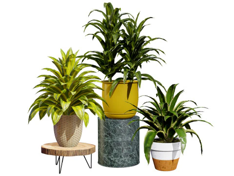 Tanaman Jagung Model 3D