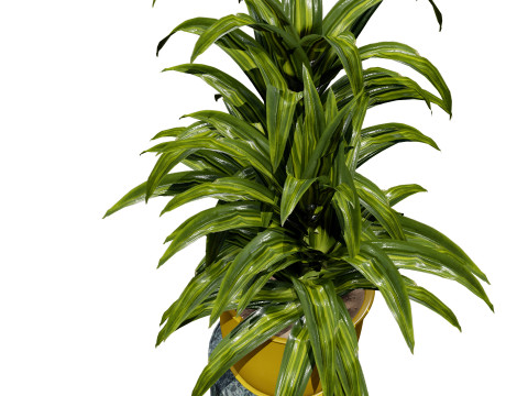 Corn Plant 3D Модель