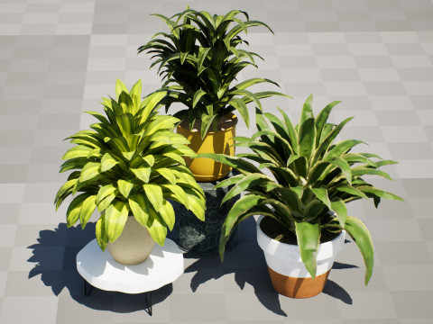 Corn Plant 3D Модель