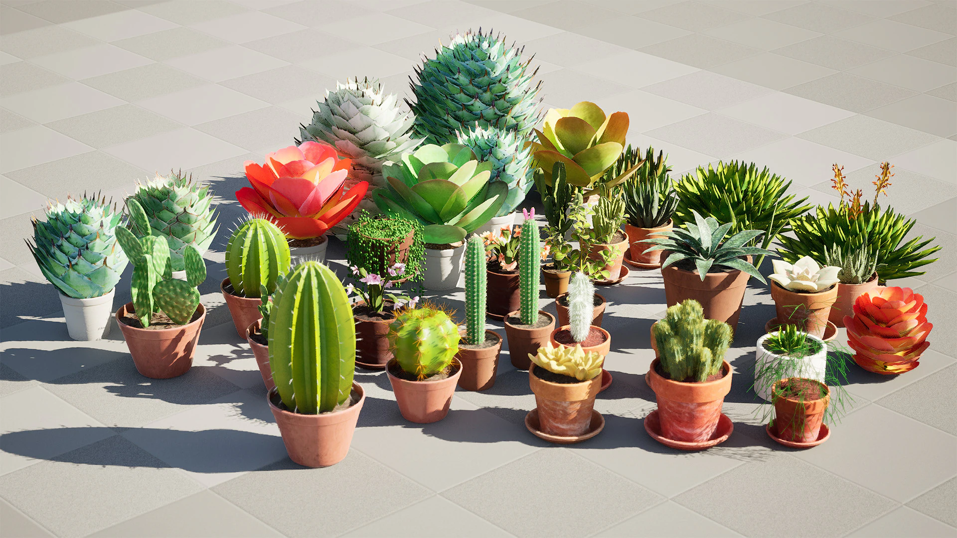 Koleksi Kaktus dan Sukulen Pot Poli Rendah Model 3D .c4d .max .obj .3ds .fbx .stl .blend 