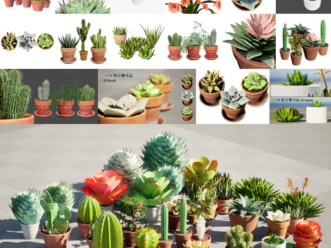 Koleksi Kaktus dan Sukulen Pot Poli Rendah Model 3D