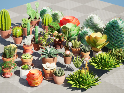 Low-Poly Potted Cactus and Succulent Collection 3D Модель