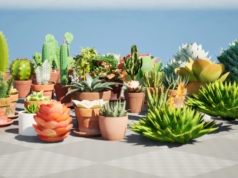 Koleksi Kaktus dan Sukulen Pot Poli Rendah Model 3D