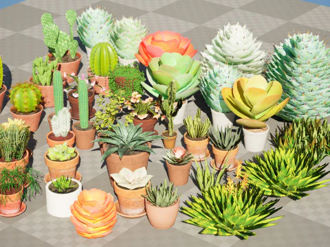 Koleksi Kaktus dan Sukulen Pot Poli Rendah Model 3D