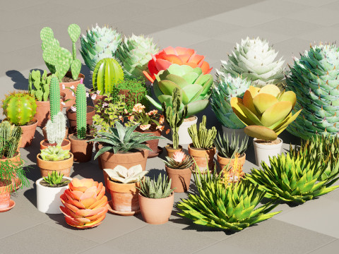 Low-Poly Potted Cactus and Succulent Collection 3D Модель