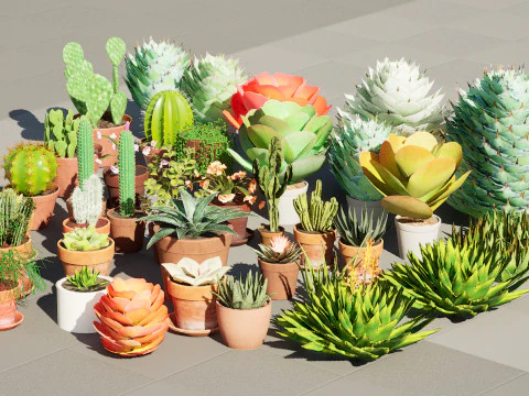 Koleksi Kaktus dan Sukulen Pot Poli Rendah Model 3D