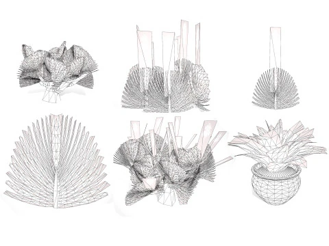 Fan Coral Aloe Pack 3D Model