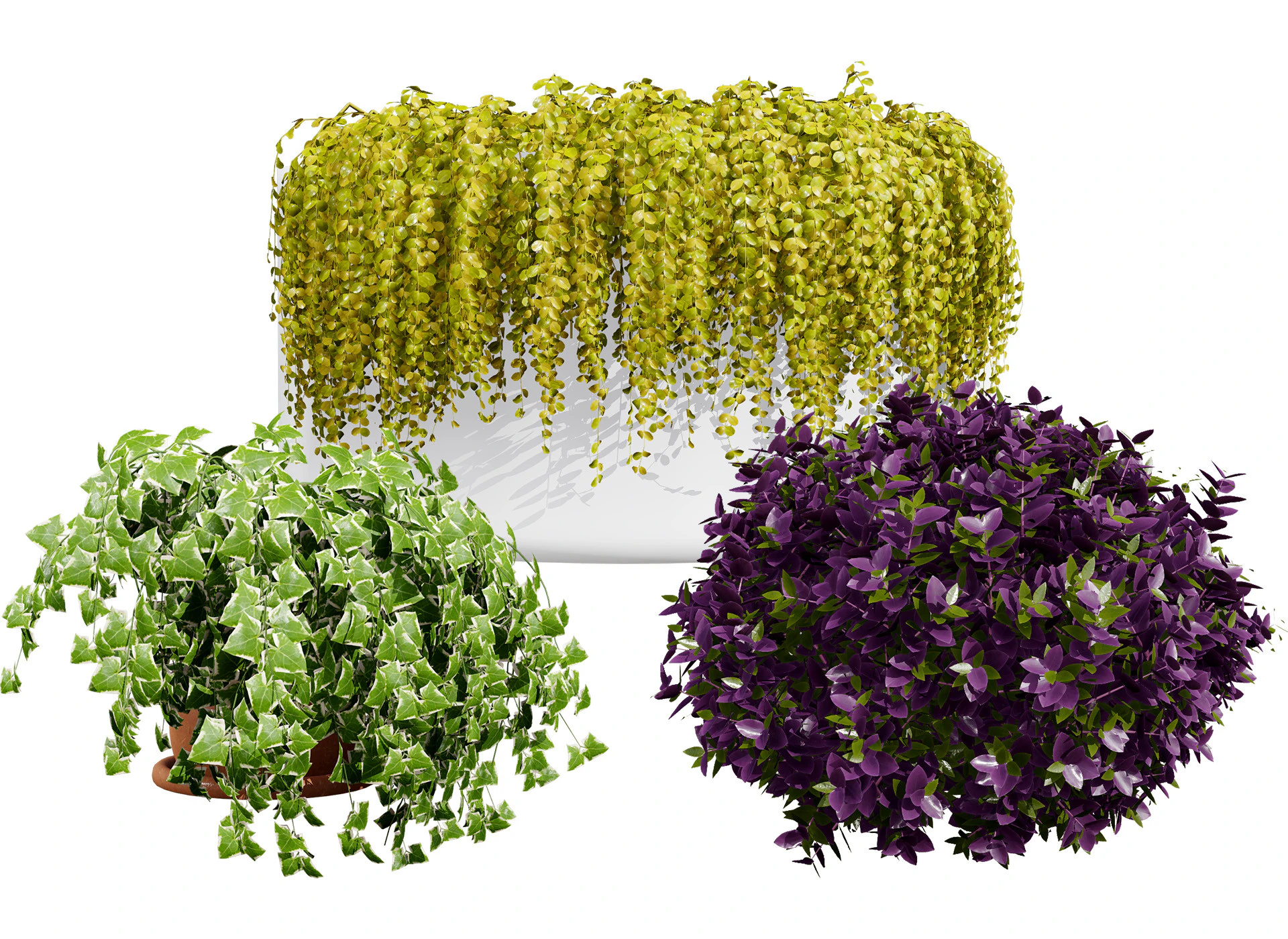 Golden Trio Plants 3D Model .c4d .max .obj .3ds .fbx .stl .blend 