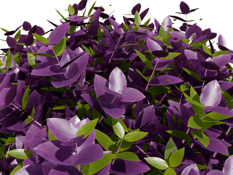 Golden Trio Plants 3D Модель