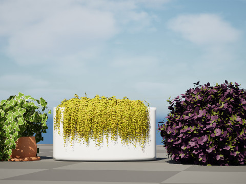 Golden Trio Plants 3D Модель