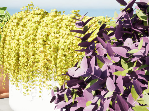 Golden Trio Plants 3D Модель