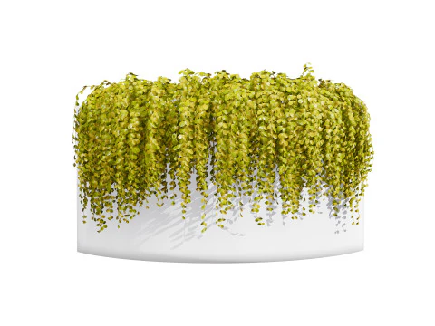 Golden Trio Plants 3D Model