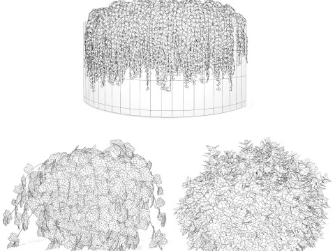Golden Trio Plants 3D Model
